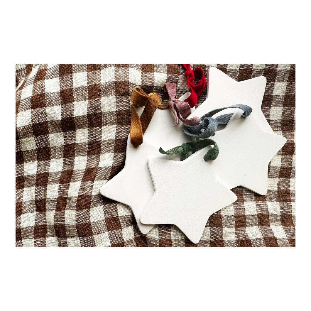 EARLY BIRD Custom Illustrated Painted Star Decoration 2025