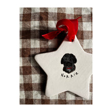 Load image into Gallery viewer, EARLY BIRD Custom Illustrated Painted Star Decoration 2025
